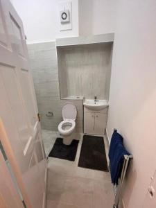 a small bathroom with a toilet and a sink at Iconic One Bed Apartment in Chiswick in London