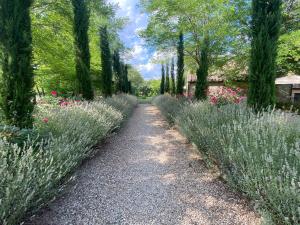 Zahrada ubytování Mulino in Chianti