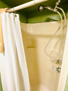 a shower curtain in a bathroom next to a toilet at Acorn Hideaways Canton Unwind at Green Gables Suite for up to 3 in Canton