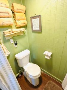 a bathroom with a white toilet in a green wall at Acorn Hideaways Canton Unwind at Green Gables Suite for up to 3 in Canton