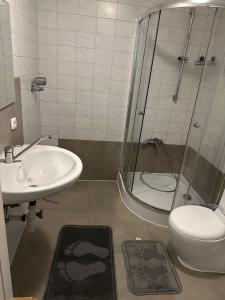 Vannituba majutusasutuses Wohnung in Sankt Englmar Nr 415