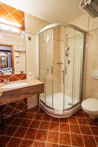 a bathroom with a shower and a sink and a toilet at Hotel U Divadla in Prague