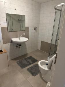 uma casa de banho com um WC e um lavatório em Wohnung in Sankt Englmar Nr 415 em Sankt Englmar