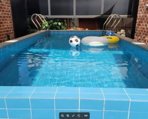 a pool with a soccer ball and a ball in the water at White Casa in Seogwipo