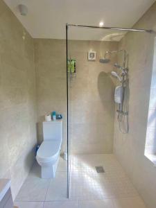 La salle de bains est pourvue de toilettes et d'une douche en verre. dans l'établissement Impeccable 1-Bed Apartment in gated secure setting, 