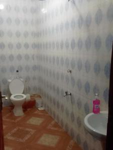 ein Bad mit einem WC und einem Waschbecken in der Unterkunft Peaceful Palace in Kisumu