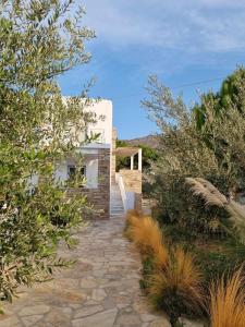 un camino de piedra que conduce a una casa blanca en Olive Tree Homes, en Ios Chora
