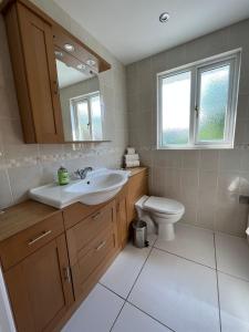 a bathroom with a sink and a toilet and a mirror at Berllan Deg in Cardigan