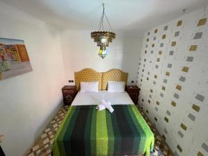 Voodi või voodid majutusasutuse Sun Hostel toas