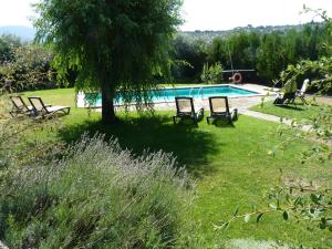 una piscina con sedie e un albero in un cortile di Casa Rural el Recuerdo a Pago de San Clemente