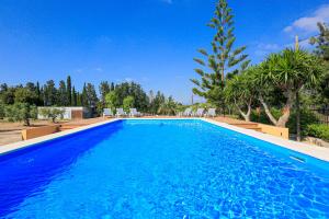 einen großen blauen Pool mit Stühlen und Bäumen in der Unterkunft La Higuerita ONLY FAMILES in Vila-seca de Solcina