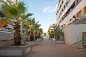 una calle con palmeras y un edificio en EnjoyGranada ARCOIRIS en Granada
