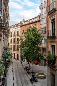 una calle urbana vacía con un árbol y edificios en GuestReady - Trendy residence near Plaza Mayor, en Madrid
