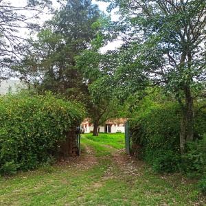 un portail dans une cour plantée d'arbres et d'herbe dans l'établissement Cabañita Villa Bella Tarija, à Tarija