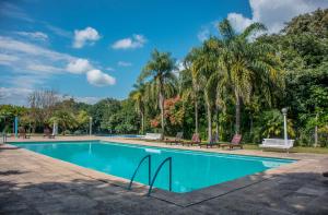 a swimming pool with chairs and palm trees at Hotel Altos de la Viña in San Salvador de Jujuy