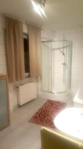 a bathroom with a shower and a rug on the floor at 3 bedrooms appartement with enclosed garden and wifi at Ramstein Miesenbach in Ramstein-Miesenbach