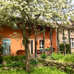 een oranje huis met een boom ervoor bij Finca in Brandenburg Ferienhaus mit Sauna in Baruth
