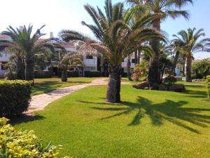 A garden outside 2 bedrooms apartement at Denia 300 m away from the beach with shared pool and furnished terrace