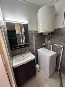 a small bathroom with a sink and a toilet at Petit paradis Portissol 400m plage/commerces in Sanary-sur-Mer