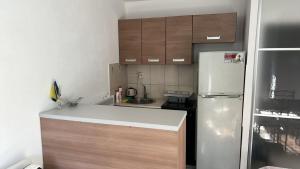 a small kitchen with a refrigerator and wooden cabinets at Apartman Vlašić Hary in Vlasic