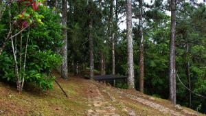 Imagen de la galería de Arrue's Mountain Retreat, en Chepo