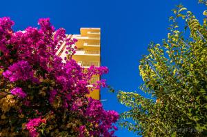 Jardín al aire libre en 426 Estudio en Minerva Apartamentos - Vista al jardín - Piscina y Playa