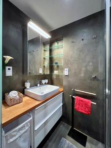 a bathroom with a sink and a mirror at Jana's apartment, free parking in Prague