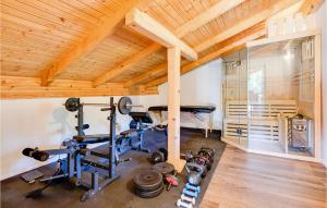 a fitness room with a gym with wooden ceilings at 3 Bedroom Lovely Home In Gornji Cerovljani 