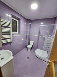 Ένα μπάνιο στο VILLA CAISULUI Dobroesti +8 φωτογραφίες