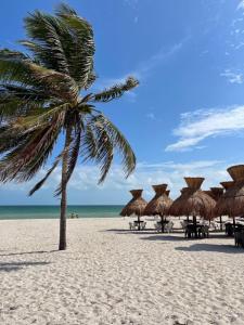 a palm tree on a beach with straw umbrellas at Itzé Hostel Boutique - Progreso in Progreso