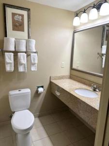 a bathroom with a toilet and a sink and a mirror at Country Inn & Suites by Radisson, Tuscaloosa, AL in Tuscaloosa