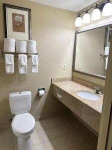 Ванная комната в Country Inn & Suites by Radisson, Tuscaloosa, AL