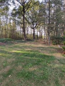 un campo de césped con árboles en el fondo en Le chalet des 4 saisons, en Mers-sur-Indre