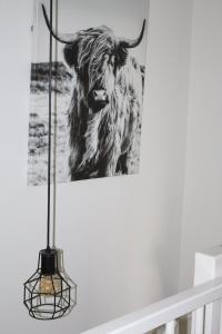 a black and white picture of a bull at Puur Mechelen in Mechelen