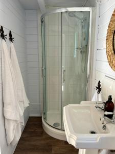 a bathroom with a glass shower and a sink at Driftwood Dreams Garden Cabin in Lyminster