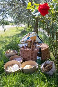 een picknick met manden eten en een rode roos bij Portami in Collina in San Martino Buon Albergo