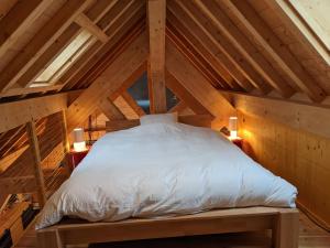 1 cama en el ático de una habitación en Saint Eldrade, en Le Monêtier-les-Bains