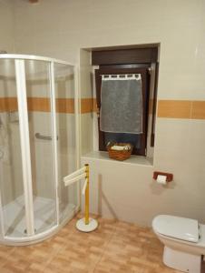 Maittia-Larraona في Larraona: حمام مع دش ومرحاض