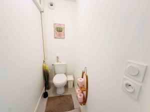 Ένα μπάνιο στο La Roseraie Toulousaine avec parking privé +29 φωτογραφίες