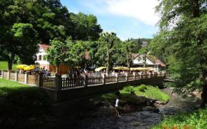 Príroda v okolí apartmánu