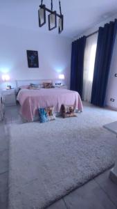 Ein Bett oder Betten in einem Zimmer der Unterkunft Cozy Studio with Terrace near The Swimming Pools in Delta Sharm Resort 10258