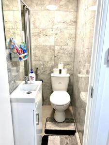 a small bathroom with a toilet and a sink at One Bed Studio with Free private Car Park in London in London