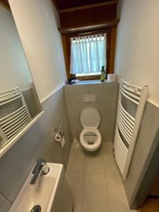 a small bathroom with a toilet and a sink at Pension Balm in Meiringen