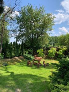 Vrt pred nastanitvijo Dom całoroczny na wynajem - Zalesie nad jeziorem Chełmżyńskim koło Torunia