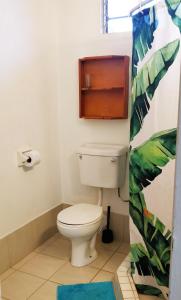 a bathroom with a white toilet in a room at Bananaquit Near the beach! in Crown Point