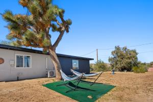 two hammocks sitting next to a palm tree at Desert Serenity in Yucca/Joshua Tree w/AC & Fire pit in Yucca Valley