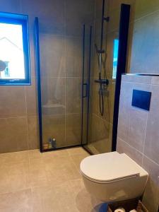 a bathroom with a toilet and a shower at Hytte til leie i Ryfylke in Hjelmeland