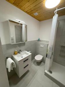y baño con lavabo, aseo y ducha. en Pension Balm, en Meiringen