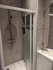 a shower with a glass door next to a sink at Studio Vue Loir, Centre-Ville in Bonneval