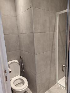 a bathroom with a toilet and a shower at Studio Vue Loir, Centre-Ville in Bonneval